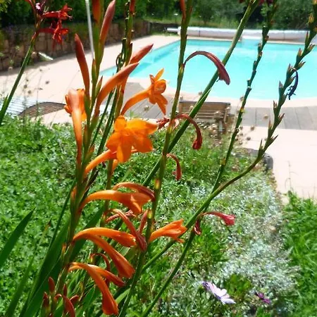Bed & Breakfast La Maison De Nathalie Les Mayons